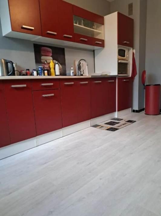 Magnifique Appartement Plein Sud 60 M Carre 里摩日 外观 照片